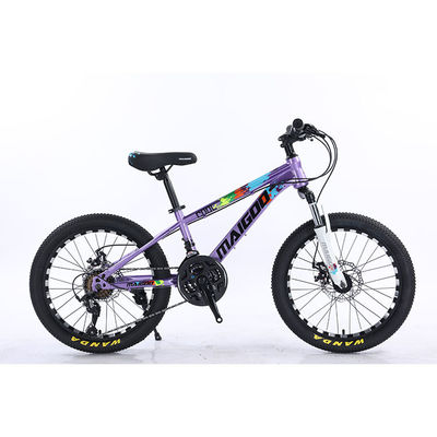 20*2.125 WANDA Tyre Steel Frame 21speed Children's Bike With Mechanical Disc Brake