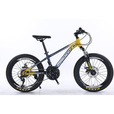 20" 21s Kids Bike Children's Bike With Customized Logo And Aluminum Alloy Rim Material