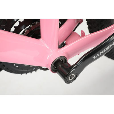 Steel Frame 20 Inch WANDA 20*2.125 Tyre Children Bicycle For Durable 21 Speeds MTB
