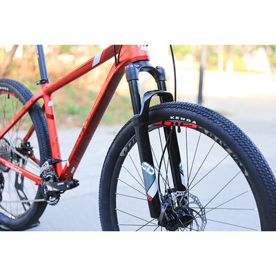 Custom Exercise Bike Sizes 29 Inch Mountain Bike with 22 Speed Gears and Smooth Welds