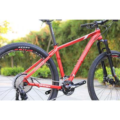 Custom Exercise Bike Sizes 29 Inch Mountain Bike with 22 Speed Gears and Smooth Welds