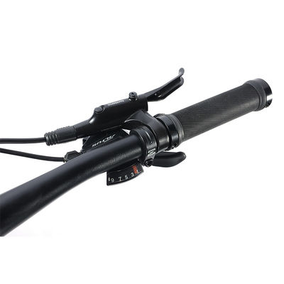 27 Speeds Design Speed Adult 700*35C Flat Bar Road Bike with Customizable Alloy Fork