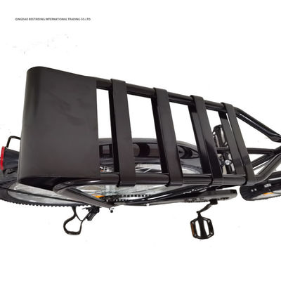 Organization Program Retro Bike 18kg And Hard Frame Non-rear Damper With Cargo Carrier