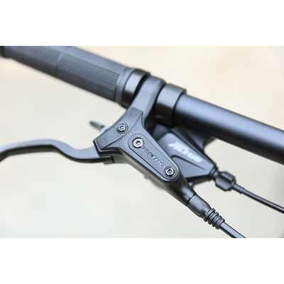 1.33m Length Carbon Mountain Bike Frame Strong and Durable for 150KG Load Capacity