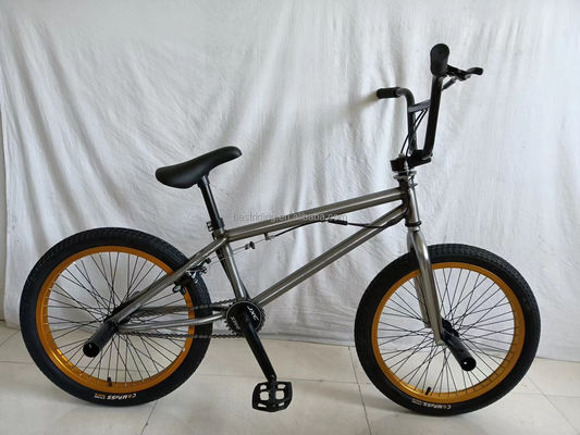 Steel Fork 20 Inch BMX Bike For Kids Freestyle Show Bicycle Performance Street Bicycle