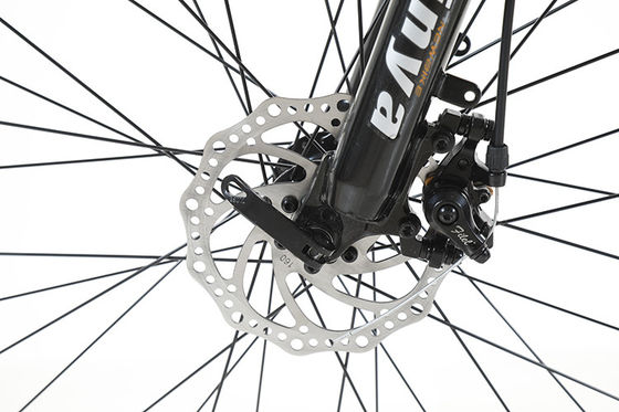 Customized 6 Speed Lithium Battery Electric Mountain Bike for Off-Road Adventures