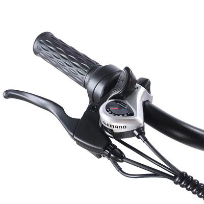 Front 24 Rear 20 Snow Tire Electric Tricycle With SHIMANO Rear 7-Speed And 48V15A Battery
