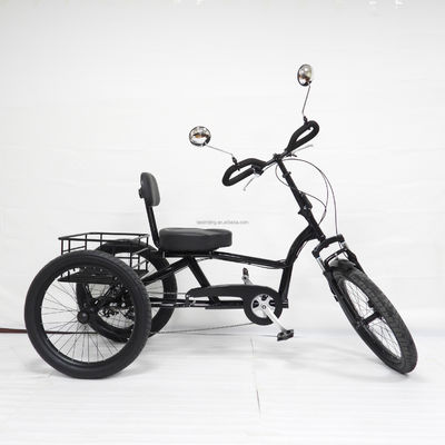 High Carbon Steel Frame 7 Speeds Cargo Trike With 24inch Thick Aluminum Alloy Wheels
