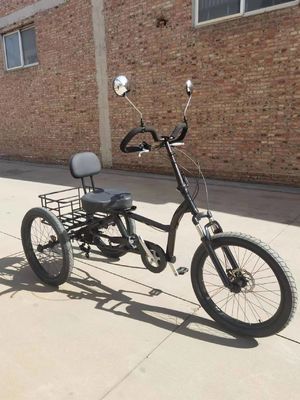 High Carbon Steel Frame 7 Speeds Cargo Trike With 24inch Thick Aluminum Alloy Wheels