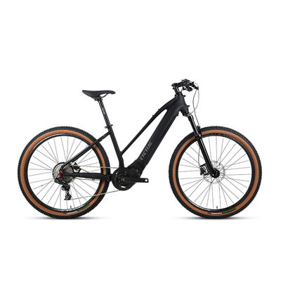 48V15Ah Lithium Battery Electric Bicycle with M510 Mid-Drive Motor and Sram NX Parts