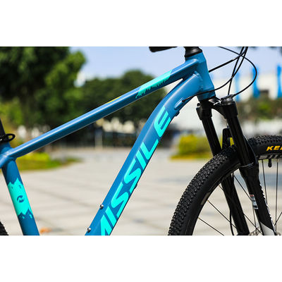 Hydraulic Disc Brake 2022 Year Presents 22 Speed 29inch Mountain Bikes for Adolescent Kids