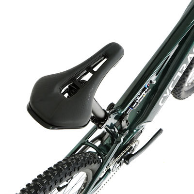 48V Mid Drive Carbon Fiber Thru-Axle Boost Frame Inner Cables Electric Bicycle EM6 Ebike