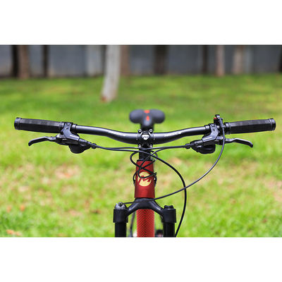 29 Inch Mountain Bike with 22 Speed Carbon Fiber Front Fork and Hydraulic Disc Brakes