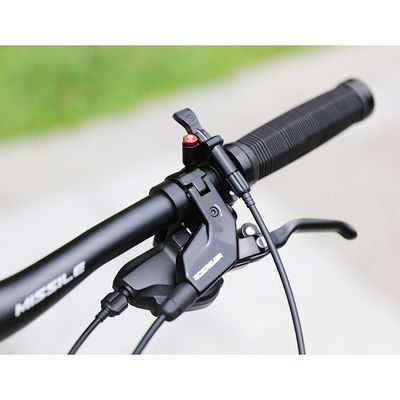 29 Inch Mountain Bike with 22 Speed Carbon Fiber Front Fork and Hydraulic Disc Brakes
