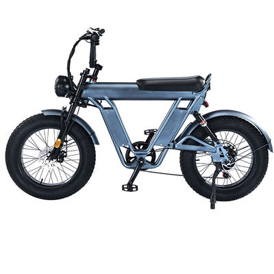 20 Inches Fat Tire Electric Bicycle With 48V Aluminum Alloy Frame And Dual Suspension