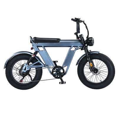 20 Inches Fat Tire Electric Bicycle With 48V Aluminum Alloy Frame And Dual Suspension