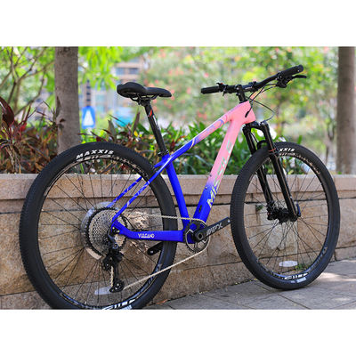 12 Speed Downhill Mountain Bike With Sunshine 11-50T Cassette And Aluminum Alloy Fork