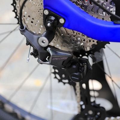 12 Speed Downhill Mountain Bike With Sunshine 11-50T Cassette And Aluminum Alloy Fork