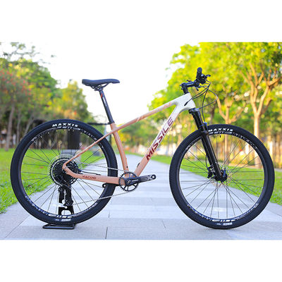 Hydraulic Disc Brake Alloy Mountain Bike with 29 Inch Big Wheels and 160mm Brake Pad