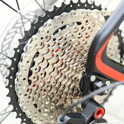 29 Inch Support OEM Mountain Bike with YBN S12S Chain 12 Speed MTB 2022 Hard Frame