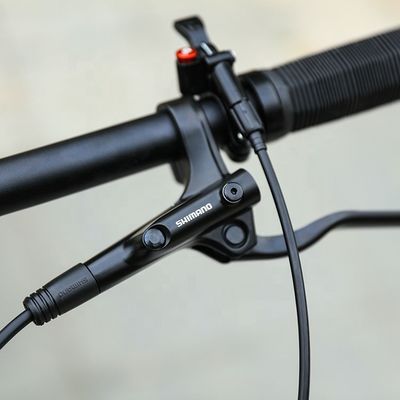 29 Inch Support OEM Mountain Bike with YBN S12S Chain 12 Speed MTB 2022 Hard Frame