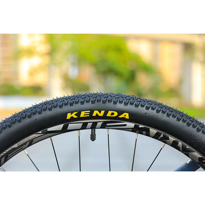 29er Speed Mountain Bike with Custom Carbon Fiber Frame and Prowheel TEN-M601 Crankset