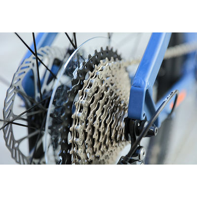 29er Speed Mountain Bike with Custom Carbon Fiber Frame and Prowheel TEN-M601 Crankset