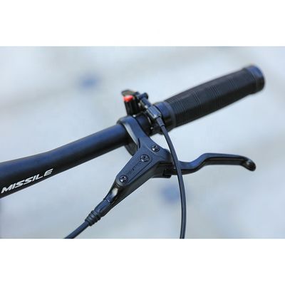 Full Shockingproof Frame 29" MTB Mountain Bicycle with Remote Lockout Oil Spring Fork