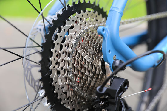 150KG Load Capacity 29 Inch Carbon Fiber Mountain Bike with 30 Speed Gears and Design
