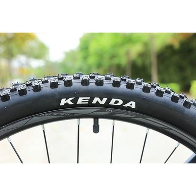 29'' Carbon Frame MTB Bike Bicycle with Ordinary Pedal and Customized OEM Customization