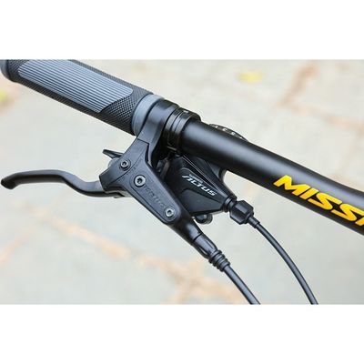 29'' Carbon Frame MTB Bike Bicycle with Ordinary Pedal and Customized OEM Customization