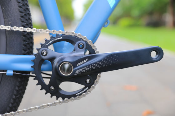 Durable 11speed Oil Brake Mountain Bike with High Cost Performance and Ordinary Pedal