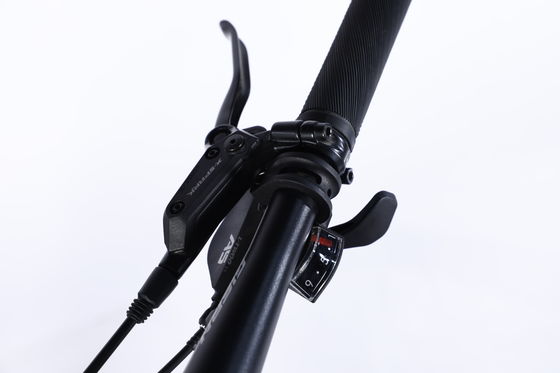 Double Wall Rim Cnc Lady Mountain Bike for Smart Riding Yinxing Hydrallic Disc Brake