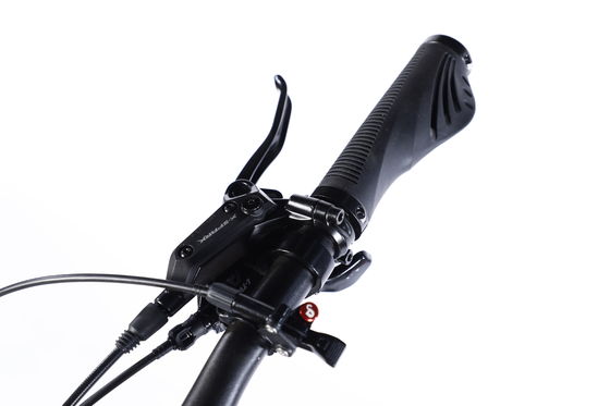 Front and Rear Wheel Disc Brake Mountain Bike 26/27.5/29 inch with Hollow Chainwheel 13s
