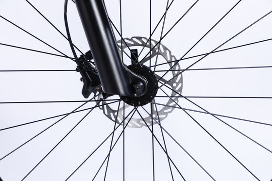 Front and Rear Wheel Disc Brake Mountain Bike 26/27.5/29 inch with Hollow Chainwheel 13s