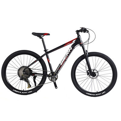 Custom Carbon Fiber Frame Mountain Bike Bicycle with Ltwoo A12 12s Gear 26/27.5/29 inch