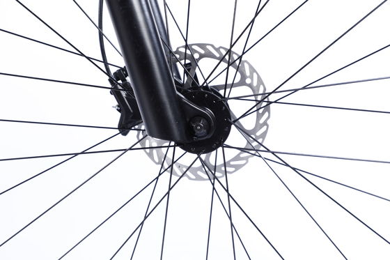 Custom Carbon Fiber Frame Mountain Bike Bicycle with Ltwoo A12 12s Gear 26/27.5/29 inch