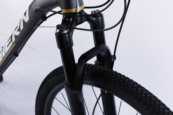 Custom Carbon Fiber Frame Mountain Bike Bicycle with Ltwoo A12 12s Gear 26/27.5/29 inch