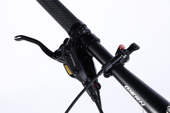 Custom Carbon Fiber Frame Mountain Bike Bicycle with Ltwoo A12 12s Gear 26/27.5/29 inch