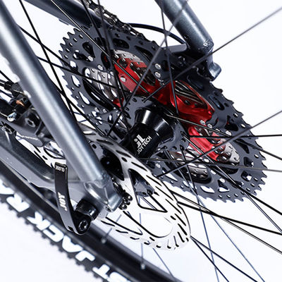 Custom Carbon Fiber Frame Mountain Bike Bicycle with Ltwoo A12 12s Gear 26/27.5/29 inch