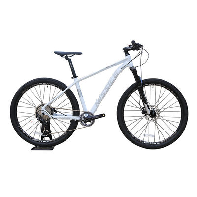 Adjustable Mountain Bike for Adults 13.9kg Bike Weight Front and Rear Disc Brake