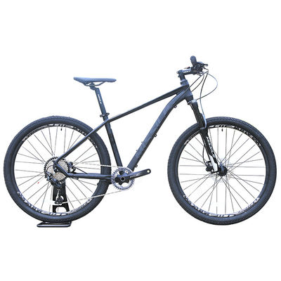 Adjustable Mountain Bike for Adults 13.9kg Bike Weight Front and Rear Disc Brake