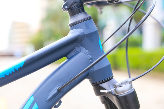 Adjustable Mountain Bike for Adults 13.9kg Bike Weight Front and Rear Disc Brake