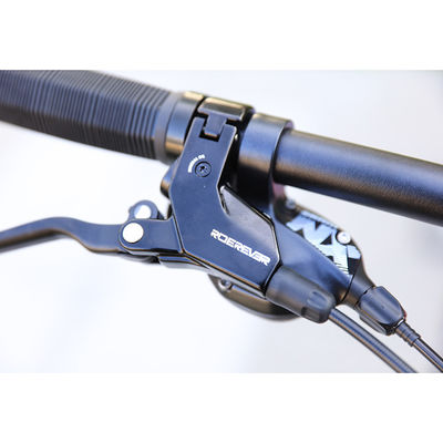 Ordinary Pedal 29 Inch Carbon Fiber Mountain Bike for Mountain Riding Experience