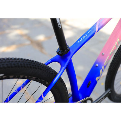 Carbon Fiber Construction Mountain Bike for Adults 29 Inch Aluminum Alloy Fork