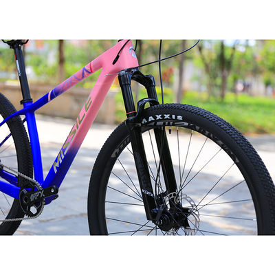 Carbon Fiber Construction Mountain Bike for Adults 29 Inch Aluminum Alloy Fork
