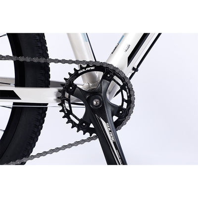 Double Wall Rim 29 Inch Mountain Bike For Adults On Road Riding
