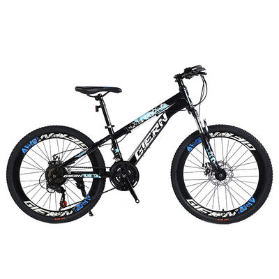 Affordable Mountain Bicycle with Sus Fokr Cp Crown and Tongli Michanical Disc Brake