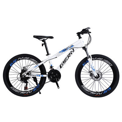 Affordable Mountain Bicycle with Sus Fokr Cp Crown and Tongli Michanical Disc Brake
