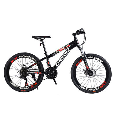 Affordable Mountain Bicycle with Sus Fokr Cp Crown and Tongli Michanical Disc Brake
